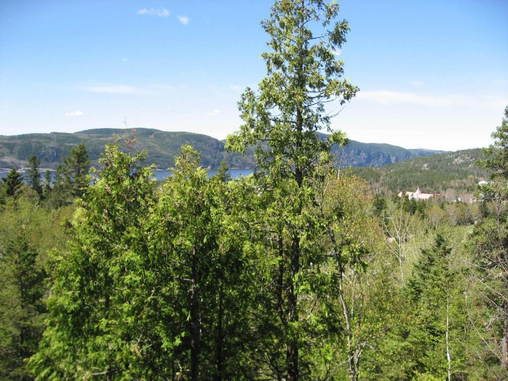 Chalet De La Montagne Villa Tadoussac Dış mekan fotoğraf